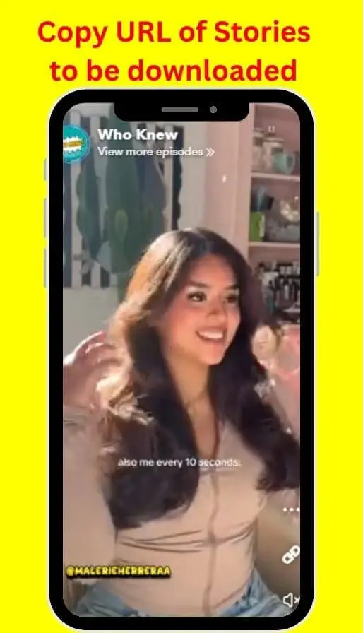 How Snapchat Video Downloader Works?