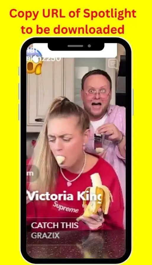 How Snapchat Video Downloader Works?