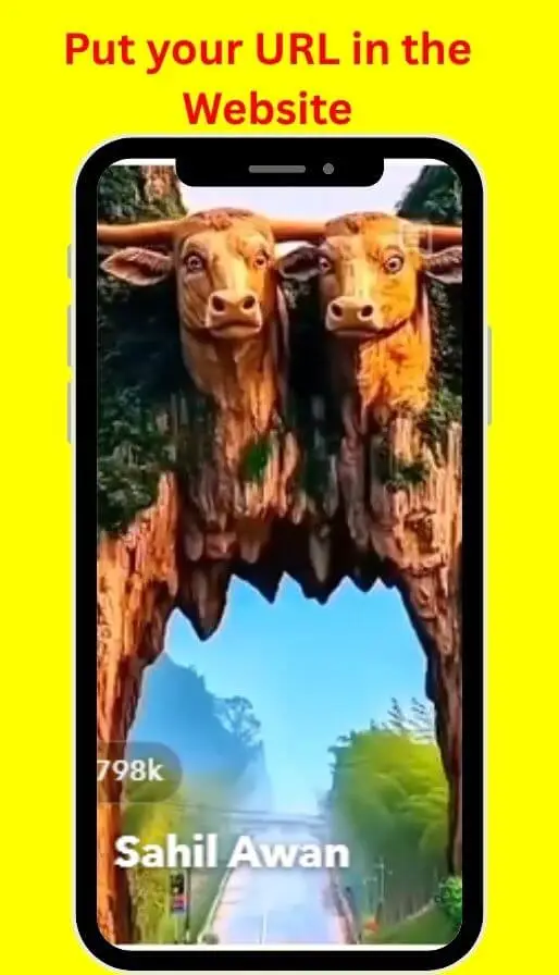 How Snapchat Video Downloader Works?